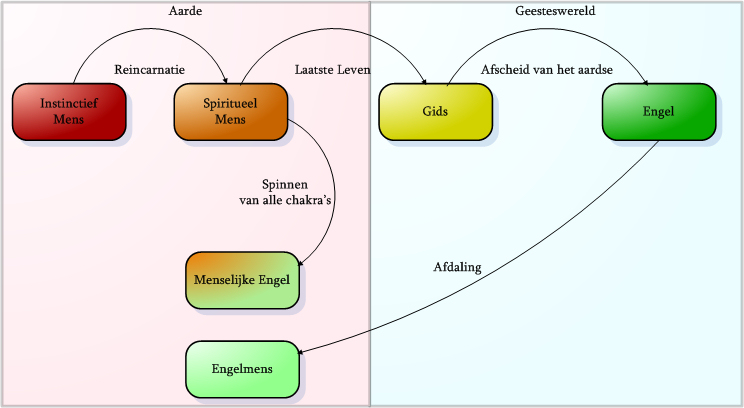 Engelmens evolutie